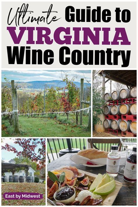 Virginia Fall, Virginia Wine Country, Wine Country Travel, Hiking In Virginia, Virginia Travel ...