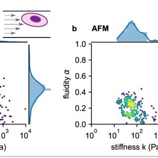 Comparison of viscoelastic cell properties measured with shear flow ... 