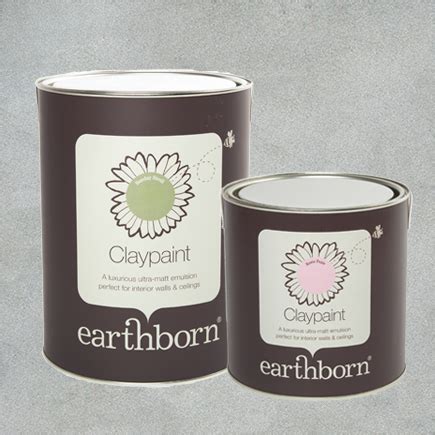 Earthborn Silicate Masonry Paint Made For Exterior Walls