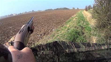 Pigeon Shooting In Lincolnshire UK YouTube