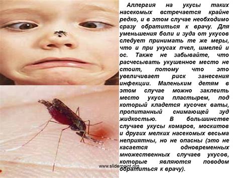 Первая помощь при укусах насекомых - Презентация ОБЖ