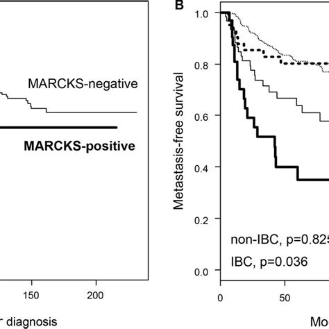 Metastasis Free Survival According To Marcks Expression In The Whole