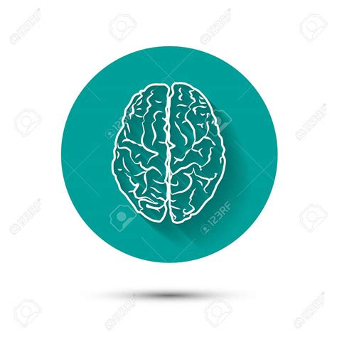 Brain Icon Flat 24483 Free Icons Library