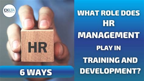 What Role Does HR Play In Training And Development 6 Ways