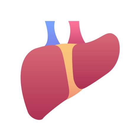 Generic Flat Gradient Liver Icon