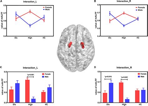 Frontiers Uric Acid Has Different Effects On Spontaneous Brain Activities Of Males And Females