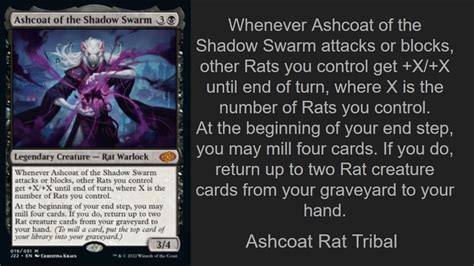 Deck Tech Ashcoat Of The Shadow Swarm Rat Tribal Commander Edh Deck