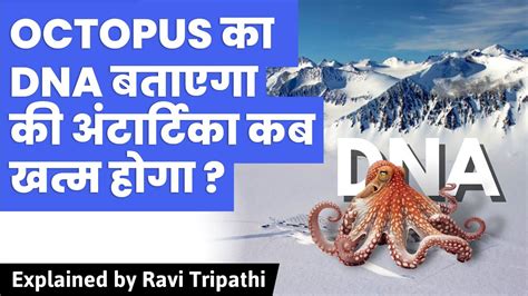 Octopus DNA Hides Big Secret About Antarctic Doomsday YouTube