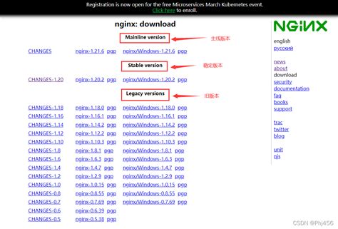 Linux系统centos7安装nginx教程（超详细）nginx1177下载 Csdn博客