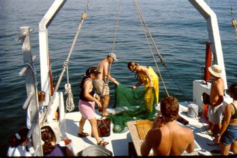 Sampling Photos Rutgers University Marine Field Station