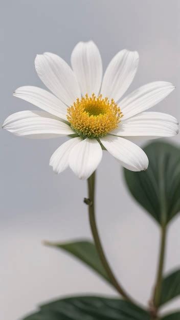 Premium AI Image | Stunning Macro Photography of Flowers