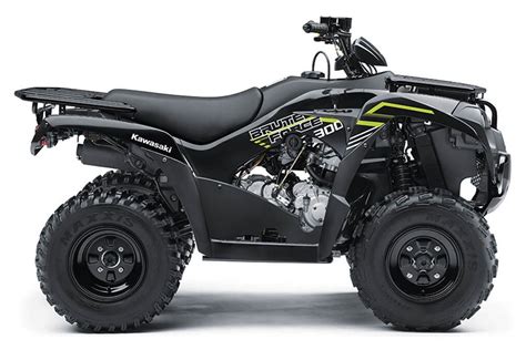 2024 Kawasaki Brute Force 300 Review - Jeana Lorelei