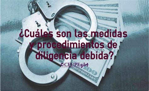 Cuáles son las medidas y procedimientos de diligencia debida