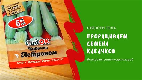 Проращиваем семена кабачков - YouTube