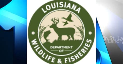 Ldwf Agents Cite Four Men For Deer Hunting Violations In Red River