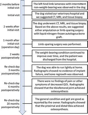 Frontiers Case Report Limb Sparing Surgery Of Tibial Chondrosarcoma