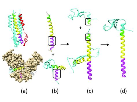 Figure A1 A Incomplete Crystal Structures Of Ebola Virus