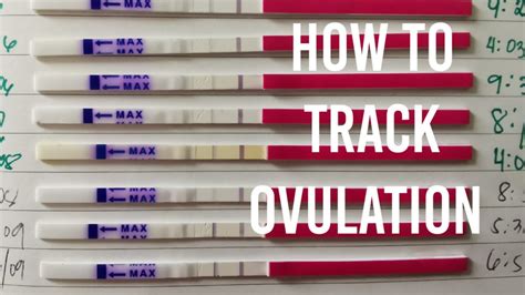 How To Track Ovulation Opk Line Progression Ttc Journey Youtube