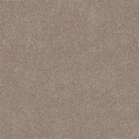 Minimal Greige Matt Porcelain Tile 30 0x60 0 Cm TACC Shop Online