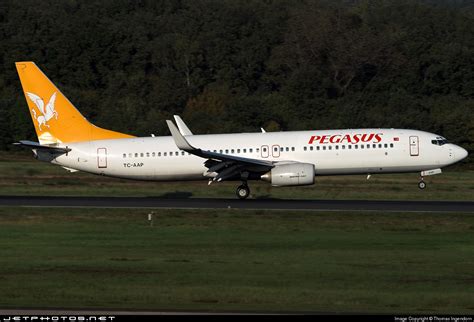 TC AAP Boeing 737 86N Pegasus Airlines Thomas Ingendorn JetPhotos