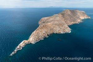 Anacapa Island Photo, Anacapa Island photos, Natural History Photography