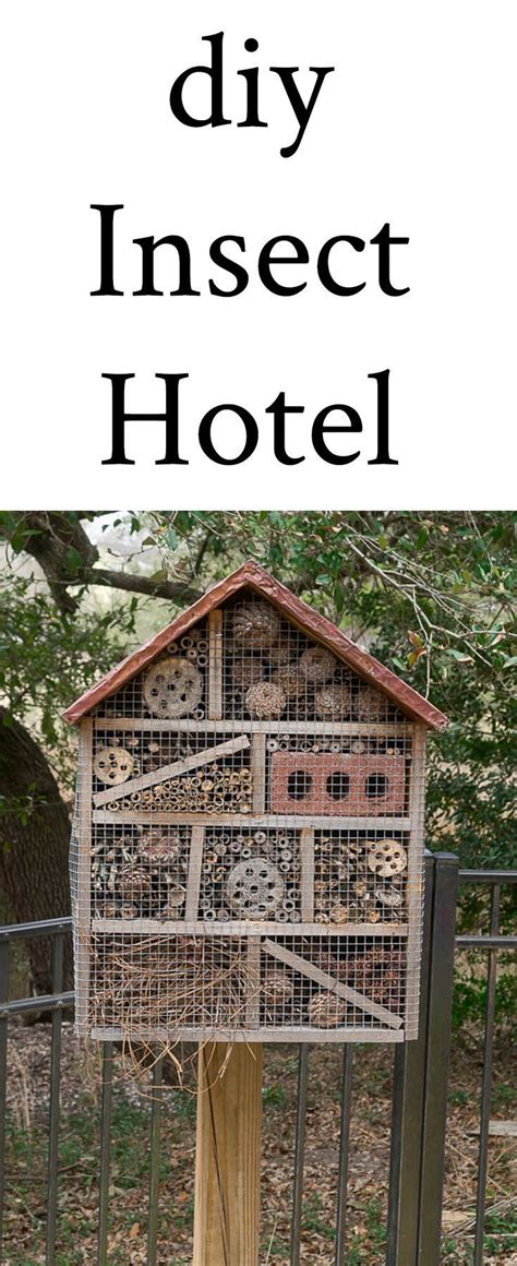 Why And How To Build An Insect Hotel Insect Hotels Attract And House