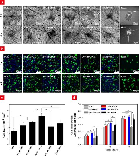 Figure From Polydopamine Templated Hydroxyapatite Reinforced