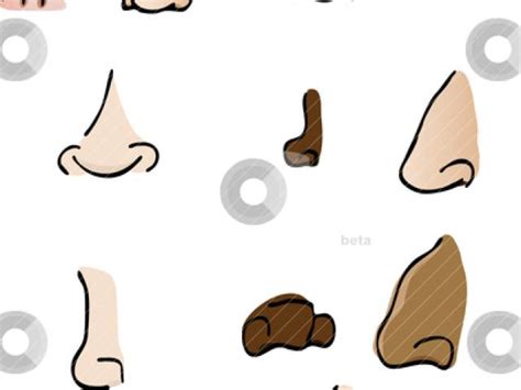 Button Clipart Button Nose Button Button Nose Transparent Free For