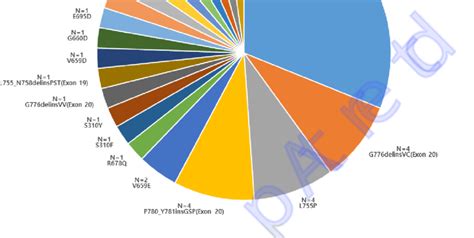 Overall landscape of HER2 mutation patients detected by next-generation ...