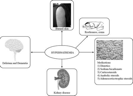 Hypernatremia | Definition, Symptoms & Treatment | Study.com