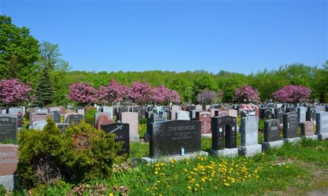 Graves in Notre-Dame-des-Neiges Cemetery Editorial Photo - Image of ...