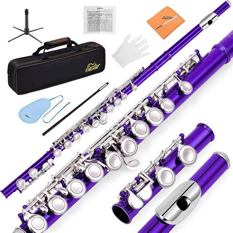 Eastar 16 Key C Flute, Closed Hole, Beginner Musical Instrument, High Quality, Purple EFL-1Pu ...