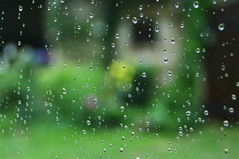 HD wallpaper: Rain, Drop, Window, Water, drop water, green color, wet ...