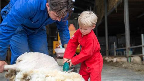 FarmCamps Mariekerke Kleine Camping Nl