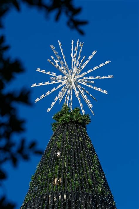 Star on Christmas Tree · Free Stock Photo