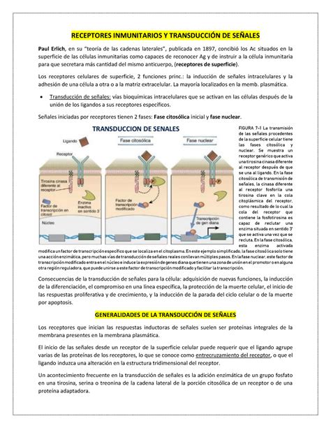 Capitulo Resumen Imunologia Celular E Molecular Warning Tt