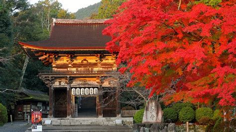 Mii Dera Temple Onjo Ji Temple Otsu 46 Off