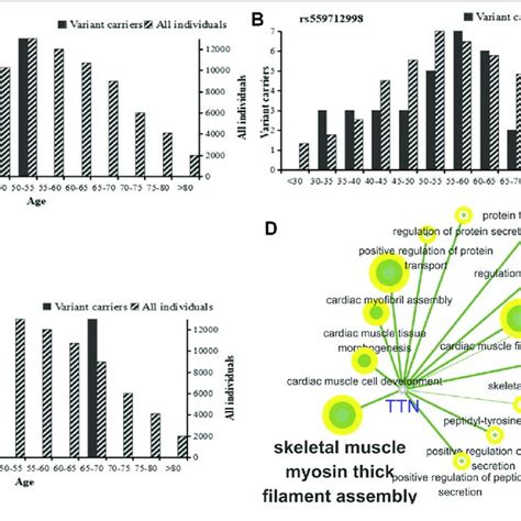 | Global population frequency and function analysis of TTN mutation... | Download Scientific Diagram