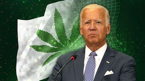 Biden concede perdão para delitos relacionados à cannabis nos EUA MMO