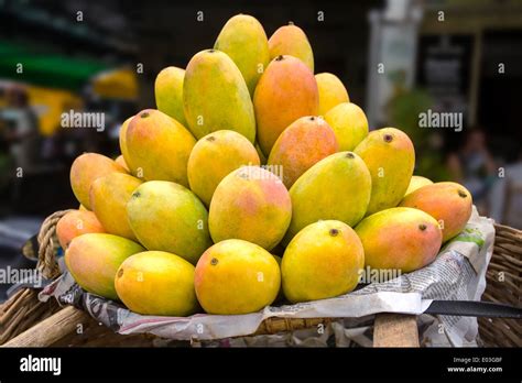 Basket Full Of Ripe Mangoes Stock Photo Alamy