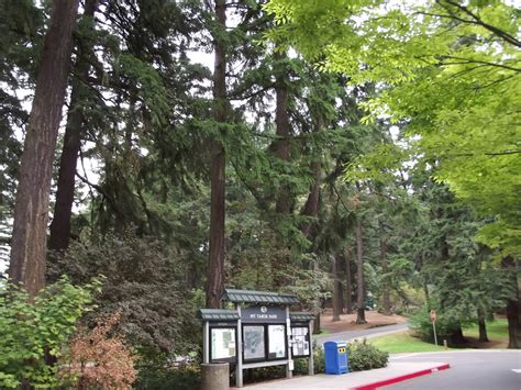 My Eclectic Thoughts Mt Tabor Park In Portland