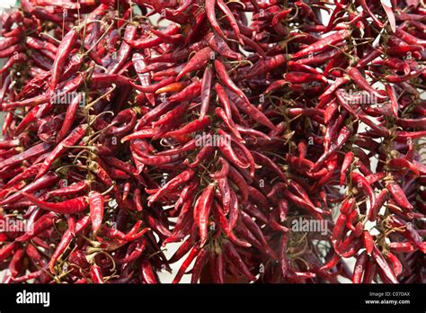 Chili peppers, dried peppers Stock Photo - Alamy