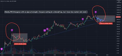 Btc Bear Market Hypothesis For Bitstamp Btcusd By Nicotavee — Tradingview