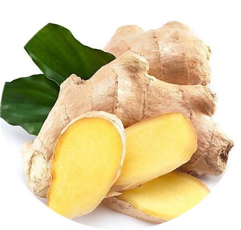 Ginger Extract Gingerol Powder PuroNature Extracts Inc