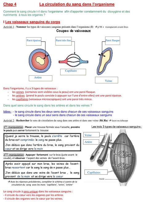 Calaméo Cours La Circulation Du Sang2015