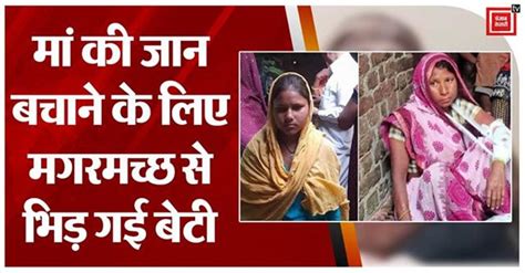 मां की जान बचाने के लिए मगरमच्छ से भिड़ गई बेटी ऐसे बचाई मां की जान Daughter Fought With