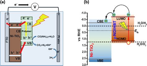 E A Schematic Reaction Diagram Of A Photoelectrochemical Cell For