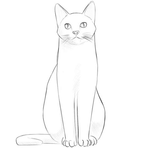 30 Cute And Easy Cat Drawing Ideas How To Draw A Cat Simple Cat