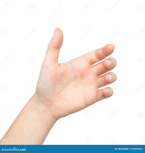 Female Hand Palms Stock Photos Royalty Free Stock Images