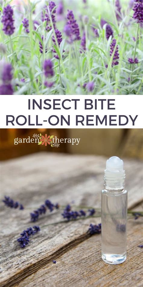 Insect Bite Roll On Using Essential Oils For Bug Bites Essential